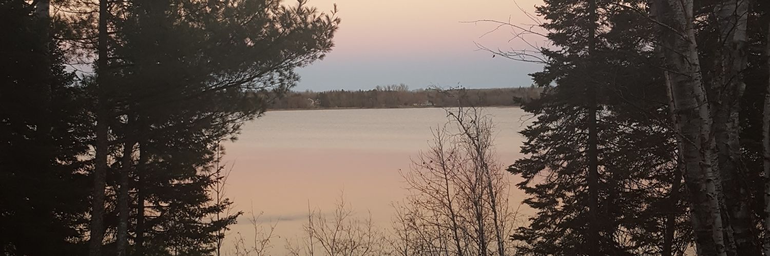 karinancarlson's profile banner image