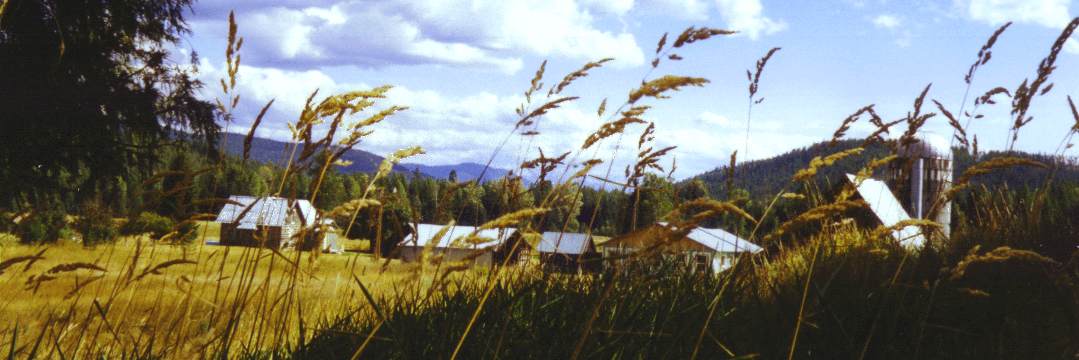 purcellmtn's profile banner image