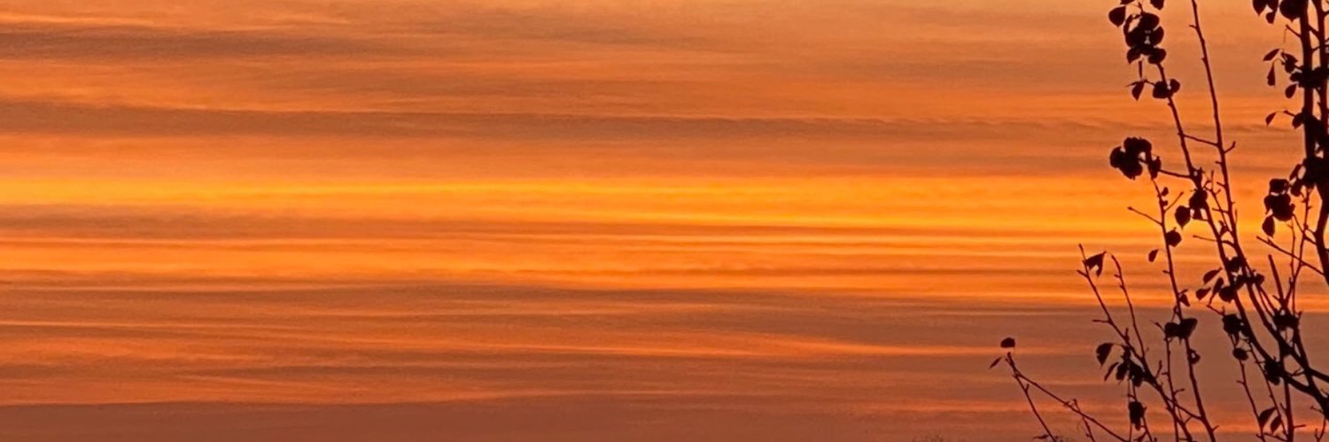 SteveResset's profile banner image
