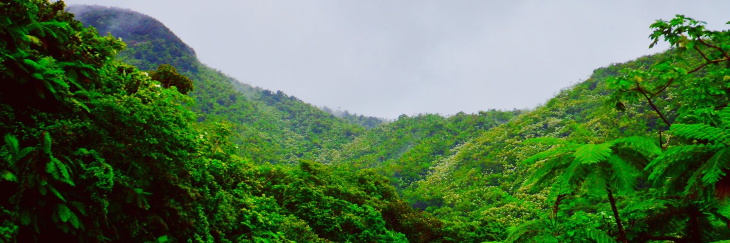 Sarah Banda Genchev banner