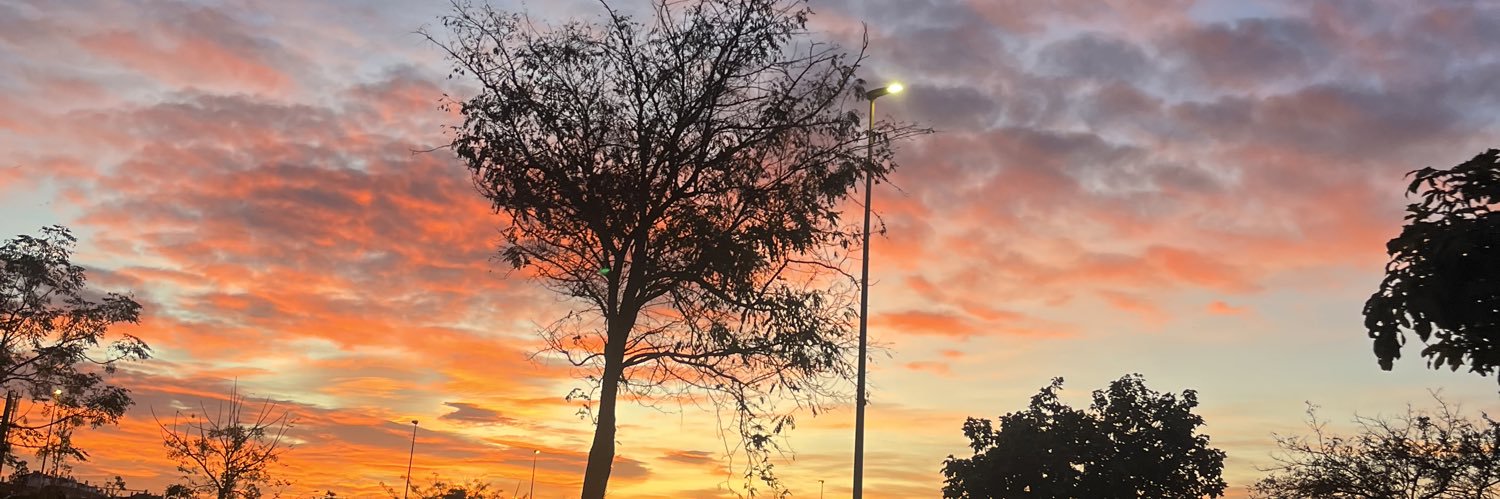 rocioreina_'s profile banner image