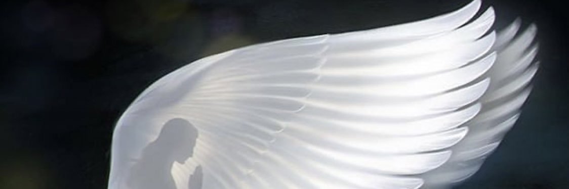AMRM3011's profile banner image