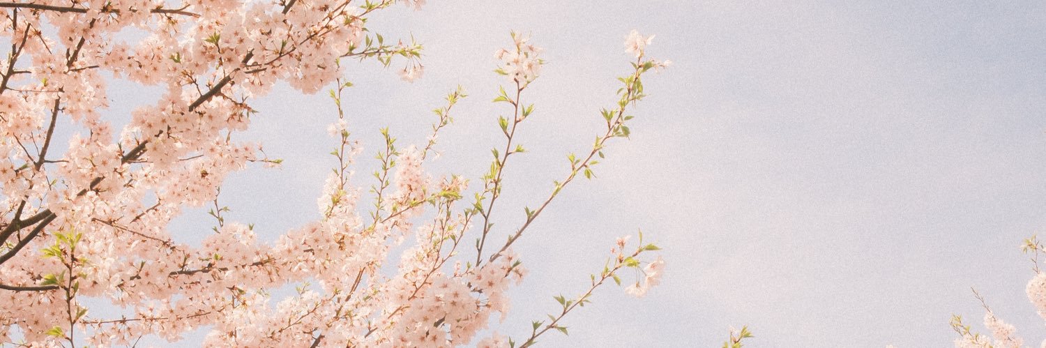 S1ege79's profile banner image