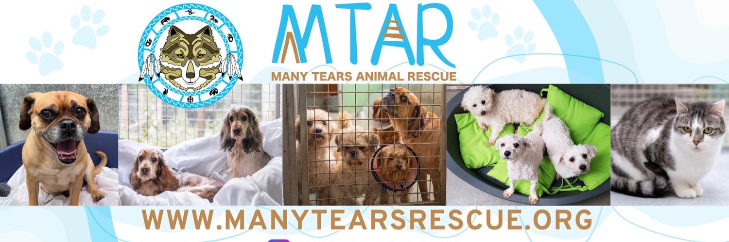 Many Tears Rescue (@ManyTearsRescue) / Posts / X