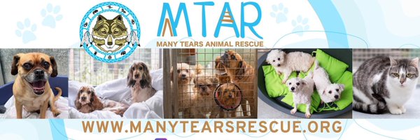 ManyTearsRescue Profile Banner