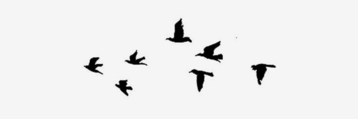 Mem26a's profile banner image
