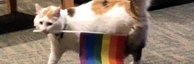 sxmia_'s profile banner image