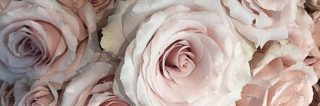 Vicks_92's profile banner image