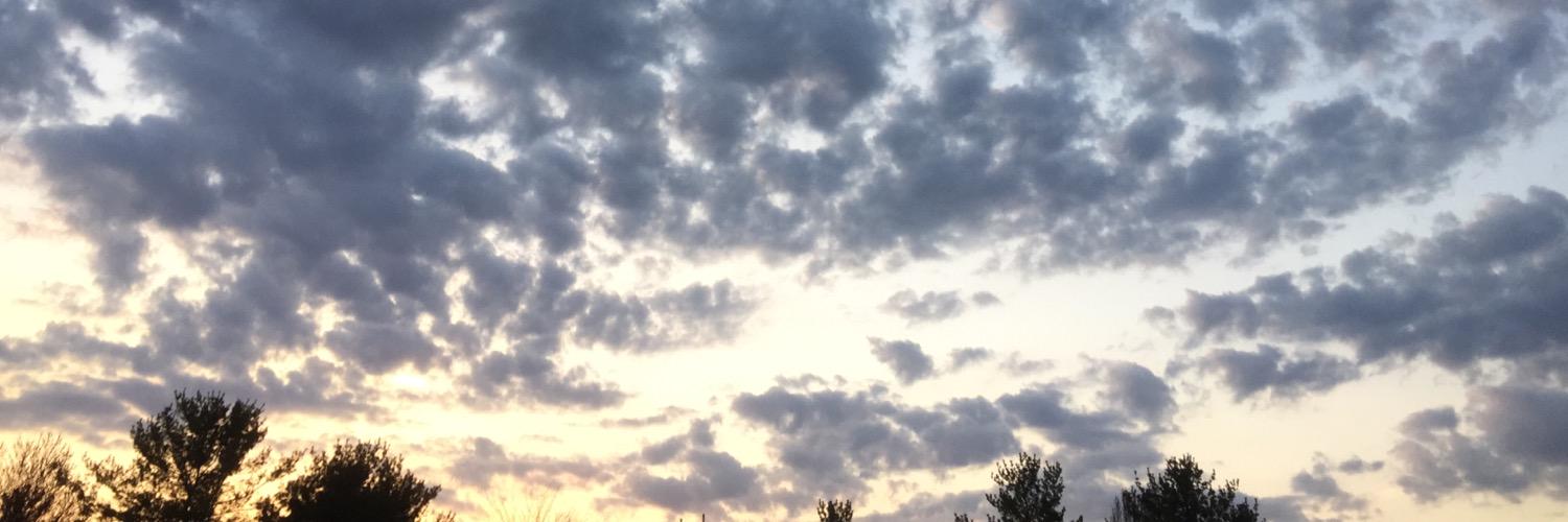 Andy Fitz-Gibbon banner