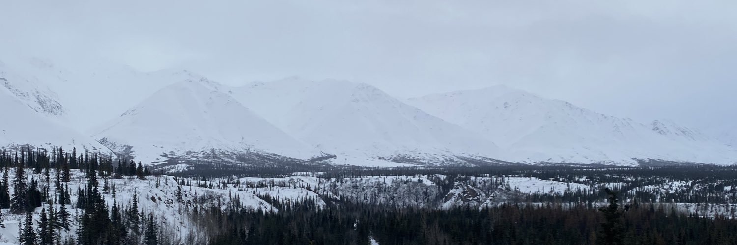 ojwitt's profile banner image