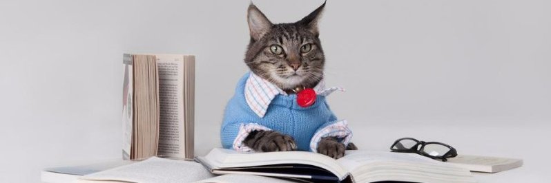 Heather Malek banner