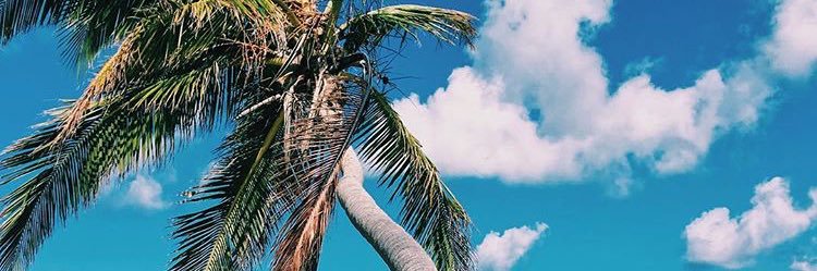 hayeahh's profile banner image