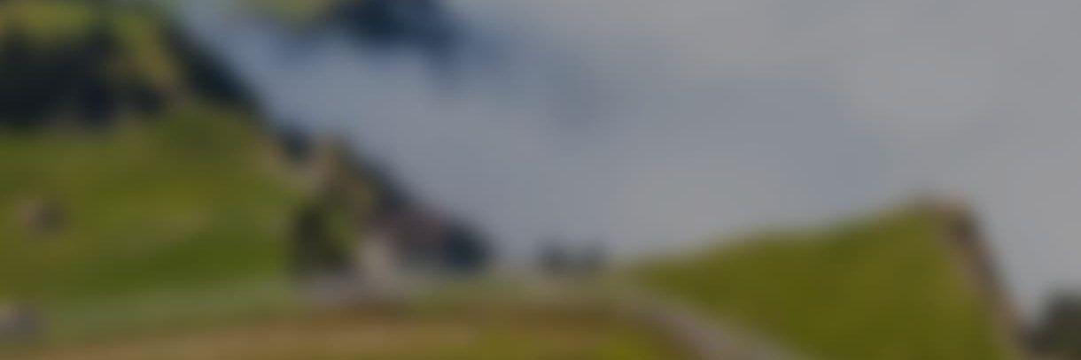 mntp banner