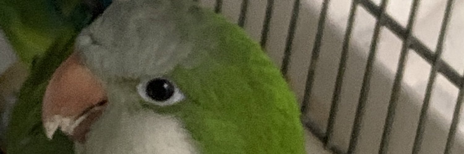 ゆきたん🌏💖🦉 banner