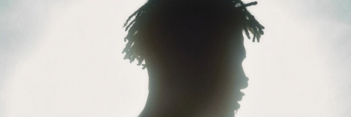 Nosemole11's profile banner image