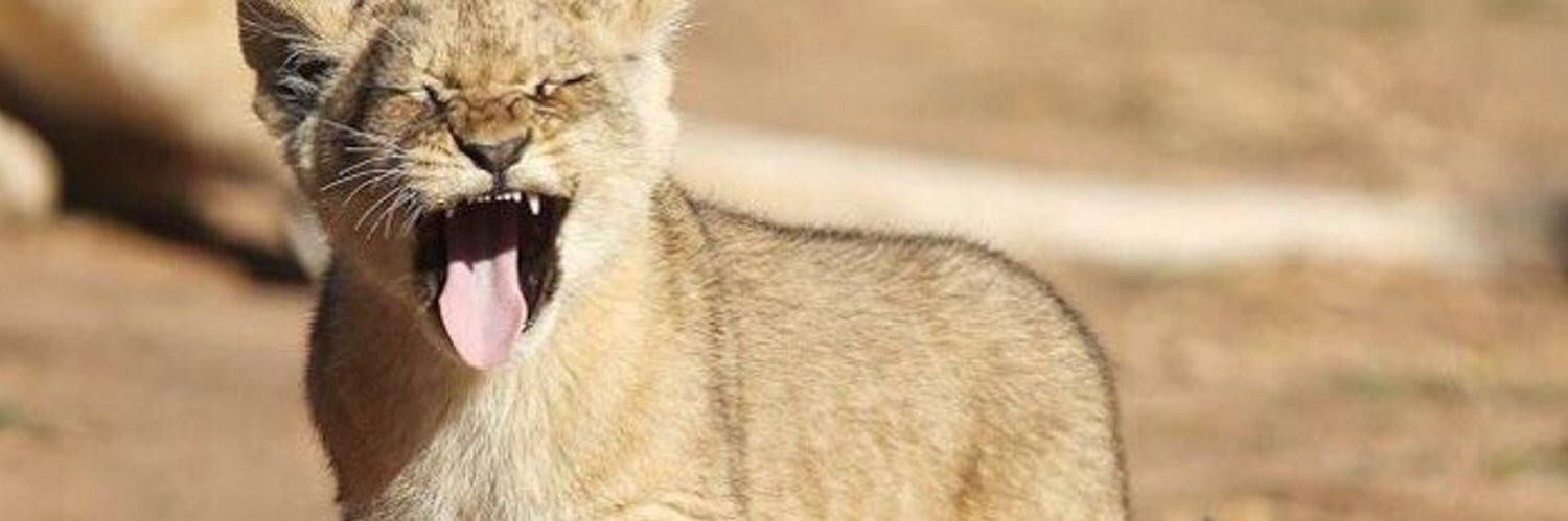 brietaylor_'s profile banner image