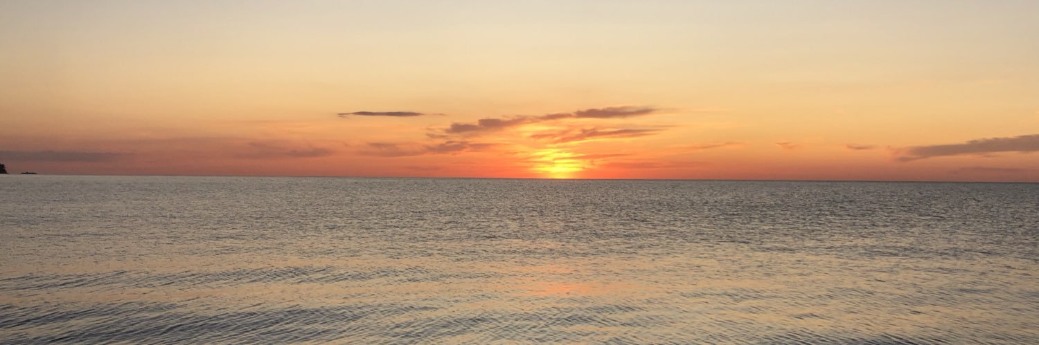 ally_sump's profile banner image