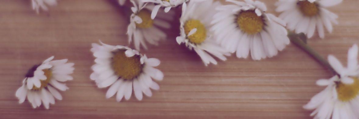 Estefan19892822's profile banner image