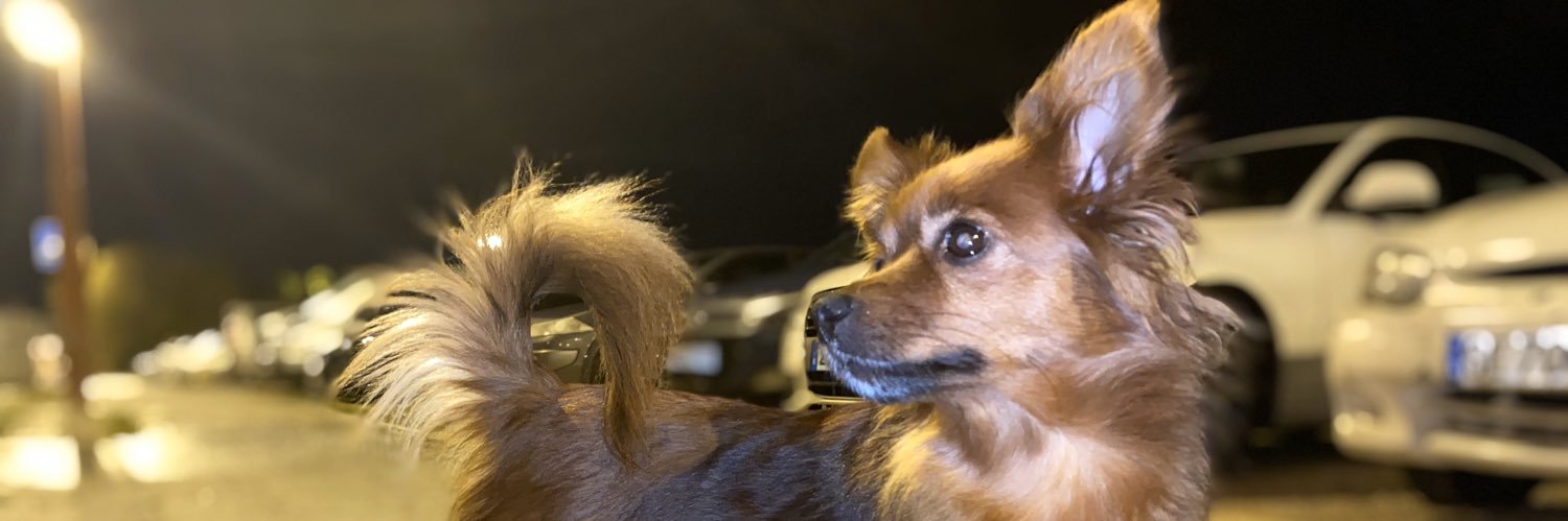 MLDiecisiete's profile banner image