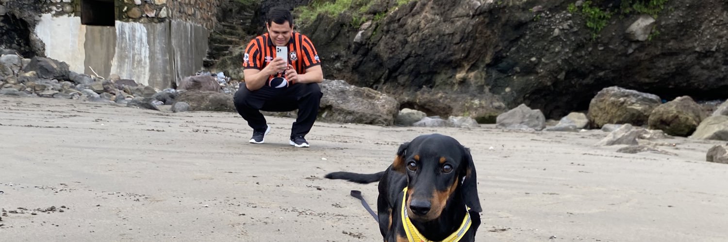 arlirego's profile banner image
