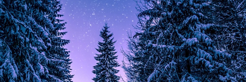 nancyxgee's profile banner image