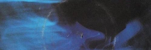 blondcircles's profile banner image
