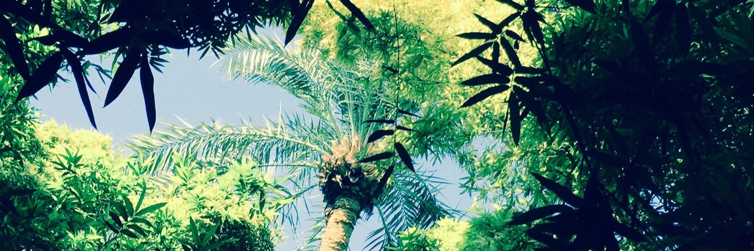 Mimi Tanimoto banner