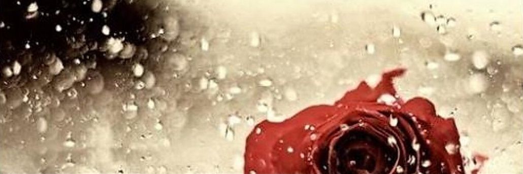 nejla3478's profile banner image