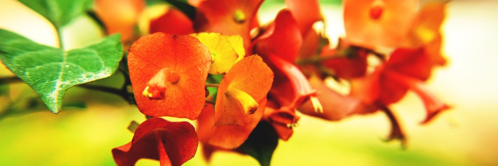 Ruds4u's profile banner image