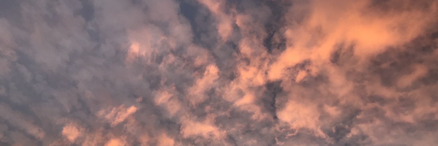angieaf_ly's profile banner image