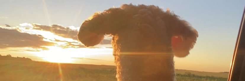 luurojaas's profile banner image