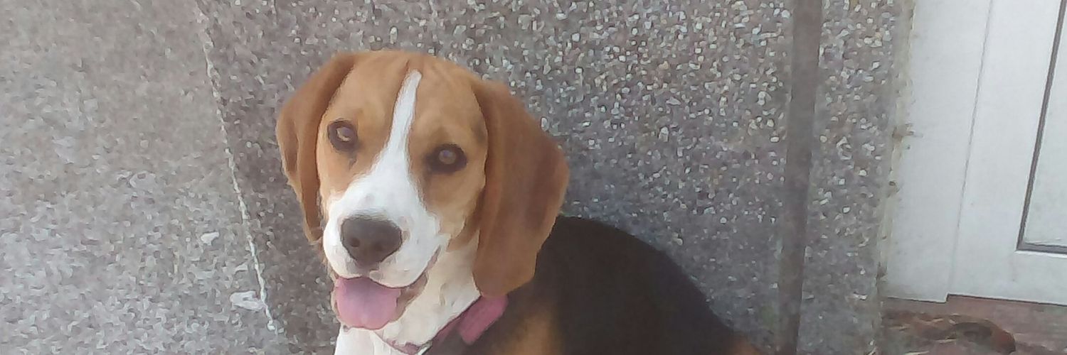 Hugo Benítez Pereira banner