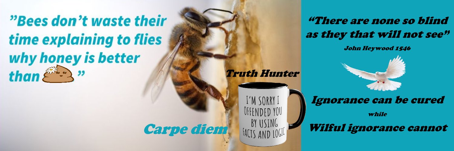 Broochey 🇦🇺 banner