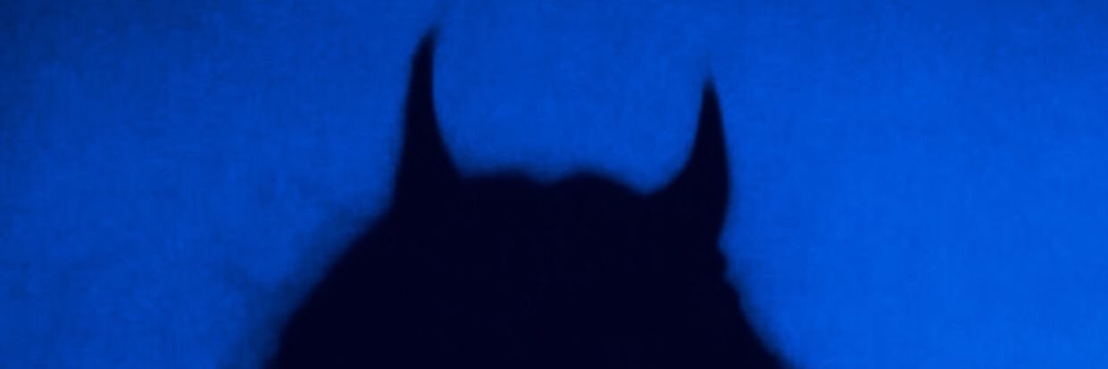 elenapoo11's profile banner image