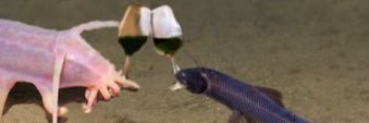 rpol99's profile banner image