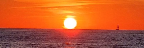 LeeWelch1 Profile Banner