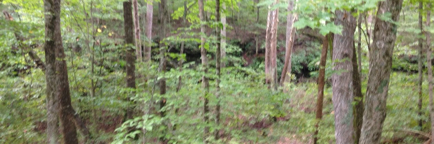 lonnberg's profile banner image