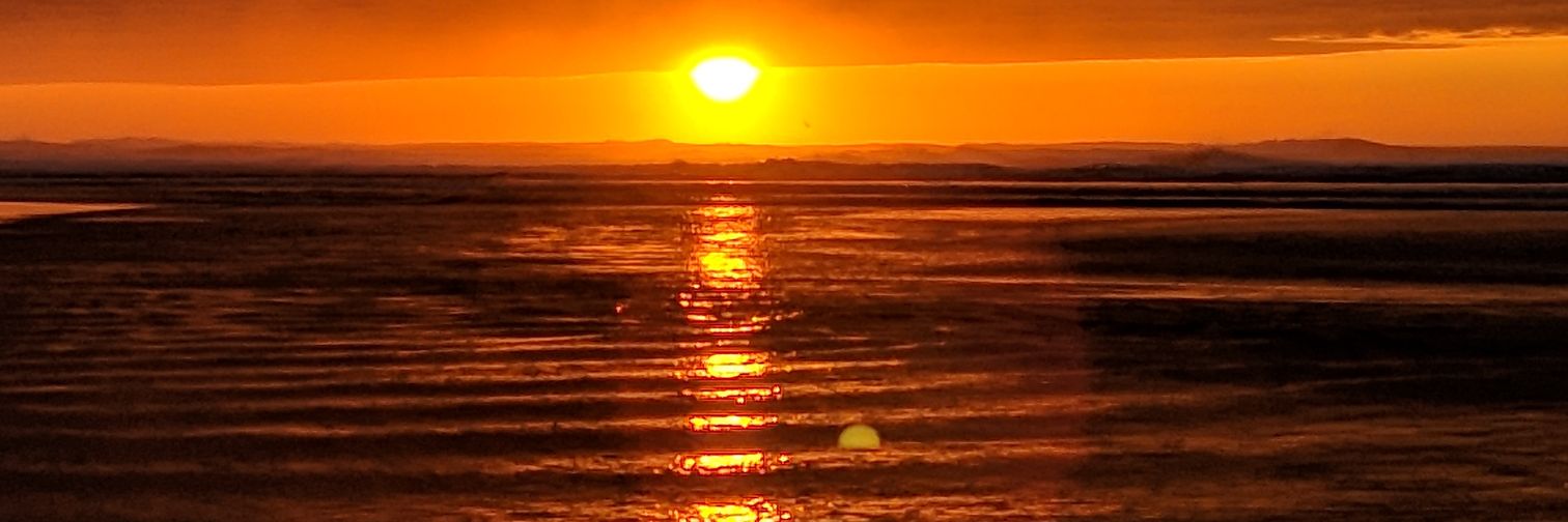 nickkarim3's profile banner image