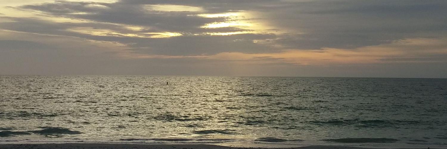 T_Burris's profile banner image