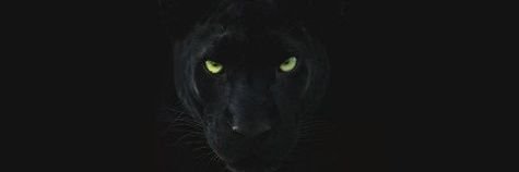 jamienokes's profile banner image