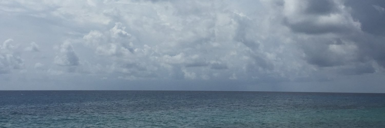 avc121's profile banner image