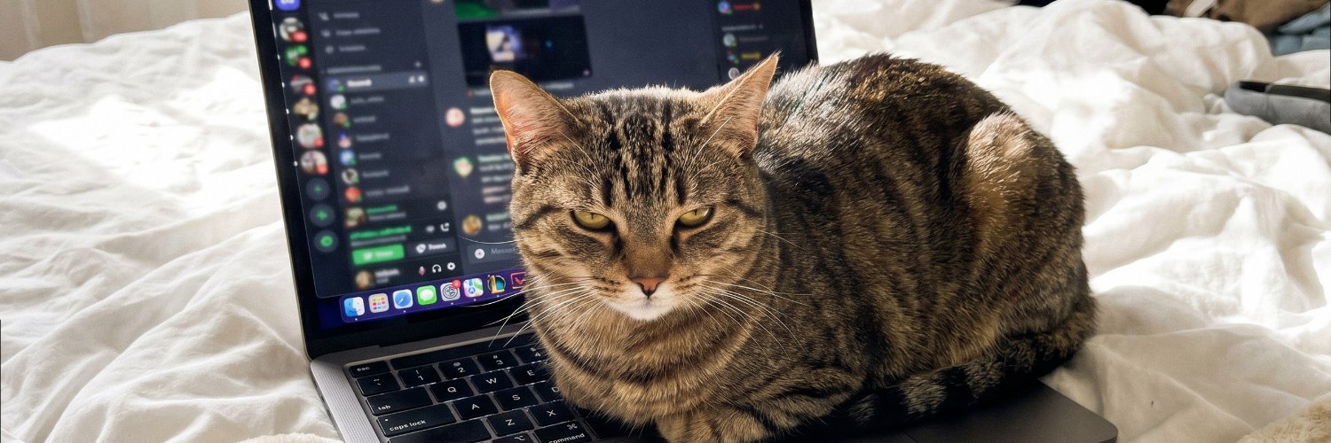 sofieflirts's profile banner image
