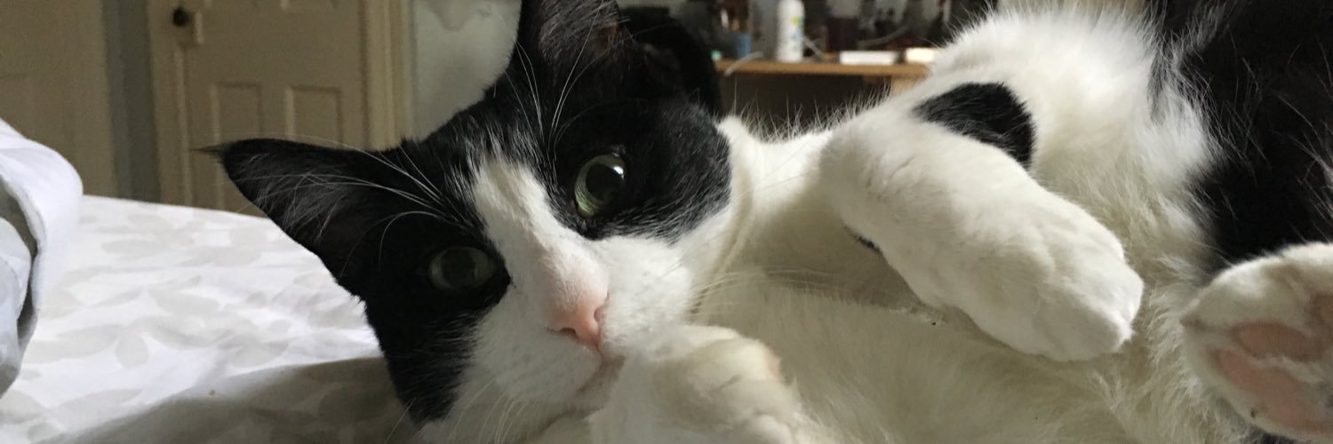 DanielleSchmid2's profile banner image