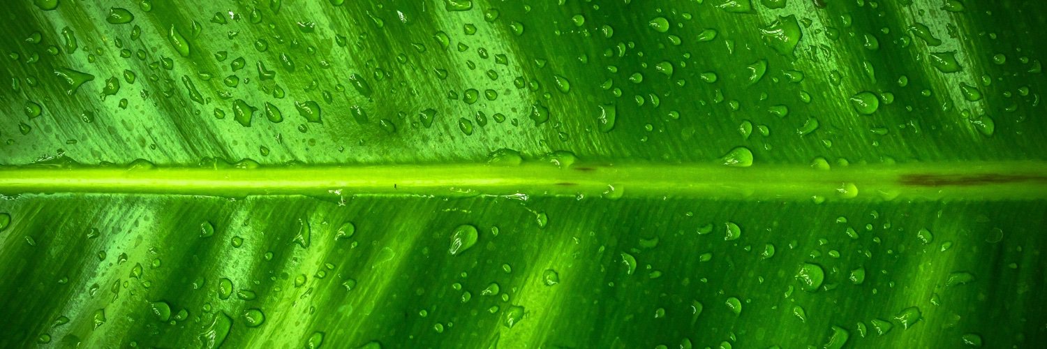 _incordio's profile banner image