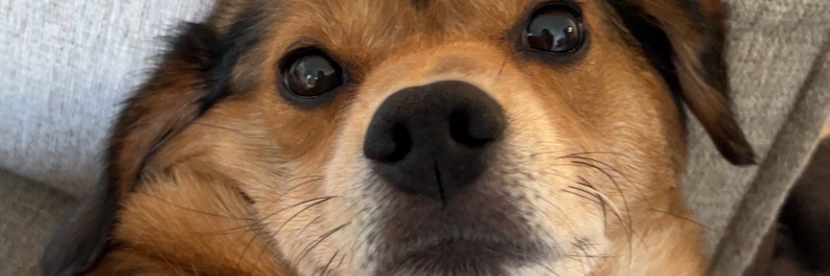 em banner