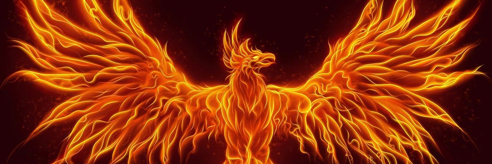 Mete GÜLAÇTI banner