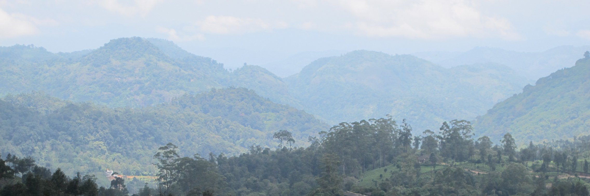 EricaPayet's profile banner image