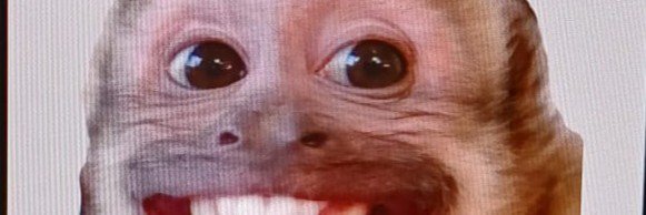 letipcia_'s profile banner image