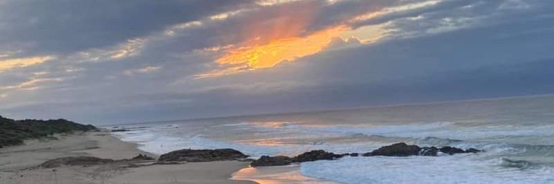 Martie Bothma banner