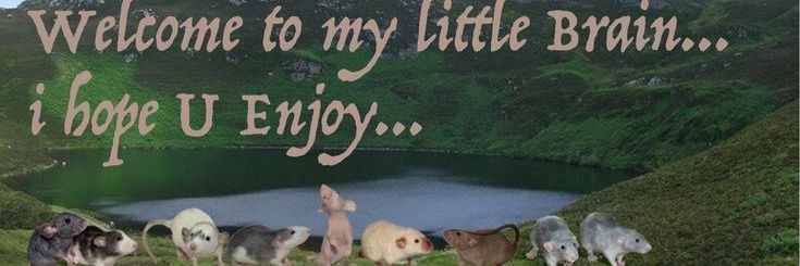 sapatuxa's profile banner image